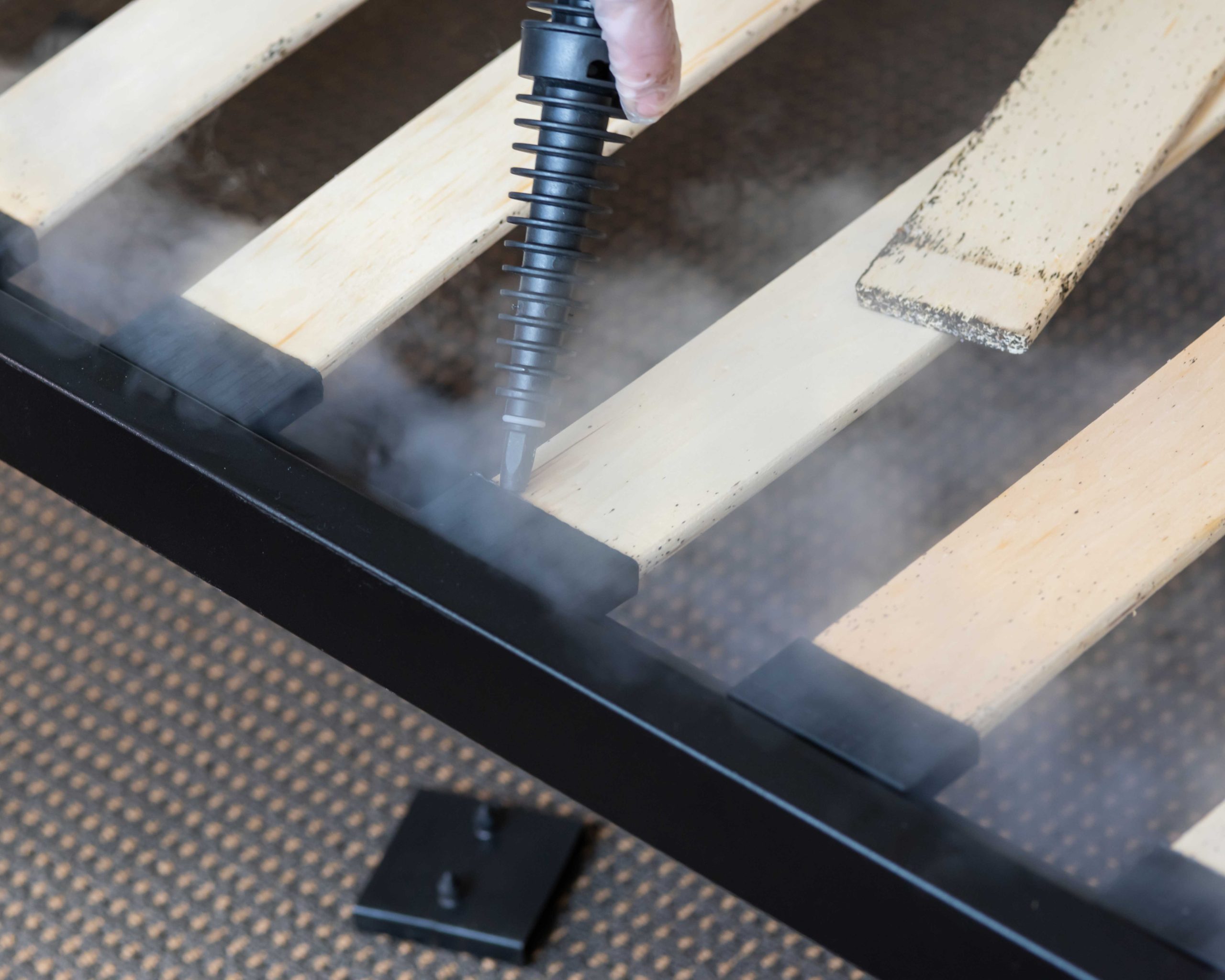 A bed bug removal in room of Richmond, Virginia home